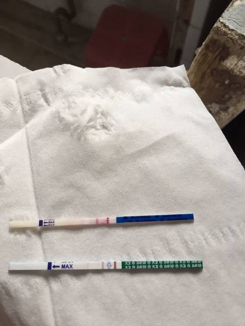 怀孕了老咳嗽怎么办?_我上月十号来的月经,十