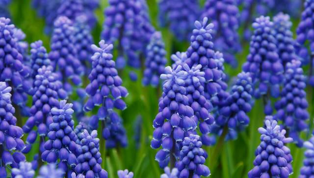 各位宝妈 在不_我怀孕快三个月了,但是,嘴巴老