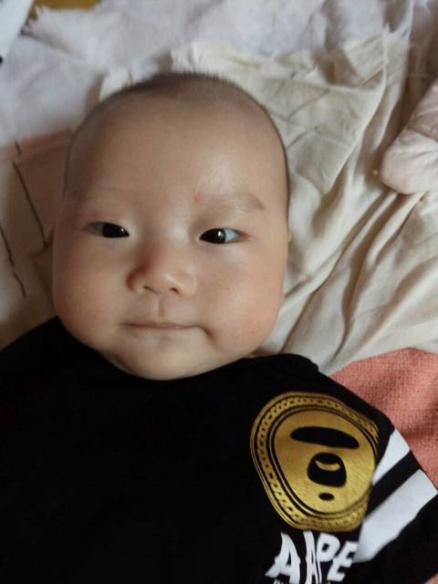 爱你全心全意_宝宝每个接段_宝宝树