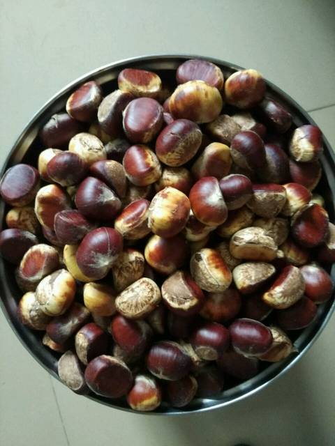 吃板栗的季节_又到了吃板栗的季节了,还是原来