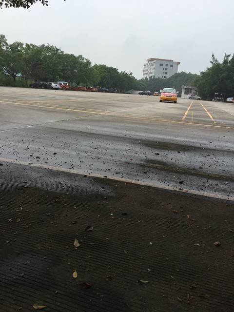 学车第一天_学车第一天就让我倒库 踩离合踩得