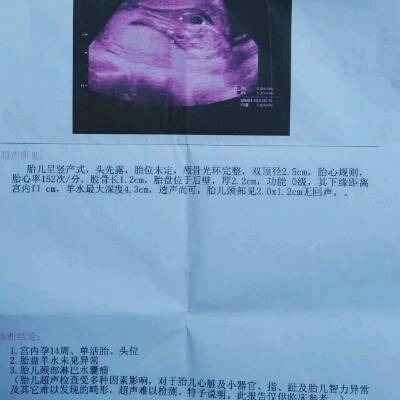 请问一下医生,宫内孕14周,B超检查报告出现胎