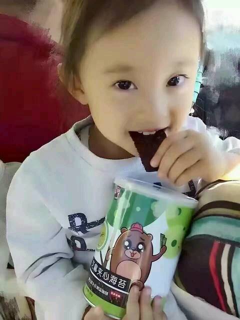 --会坤海苔宝宝的最爱_---【会坤海苔适用人群