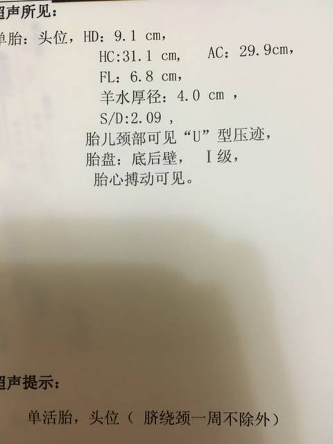 今天36+6,见专家,估重测骨盆了_明天就37周足