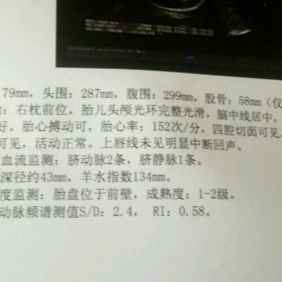 孕31周,b超单能看出生男生女吗?
