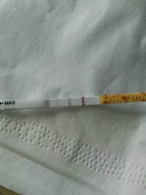 着急开奖的姐妹进来聊聊_上月月经18号,排卵日