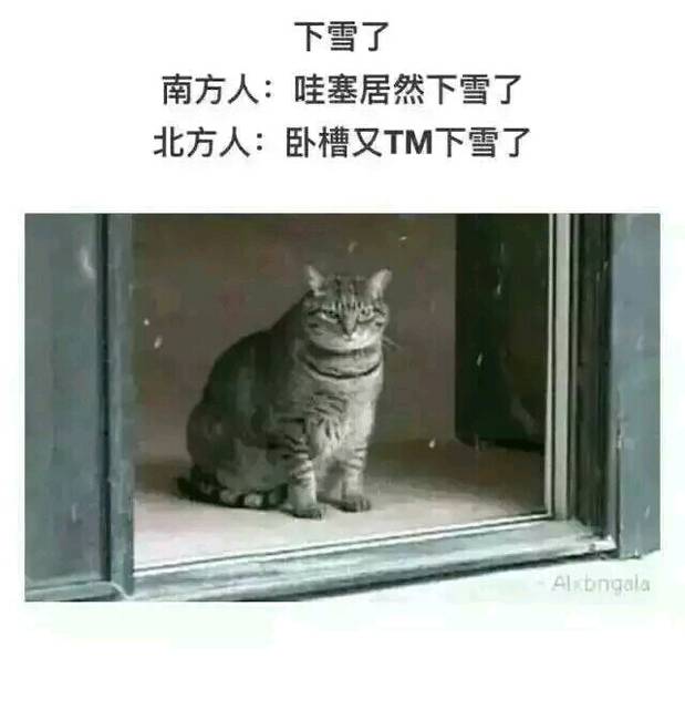 南方人与北方人之间的误会._话不多说,儿子镇