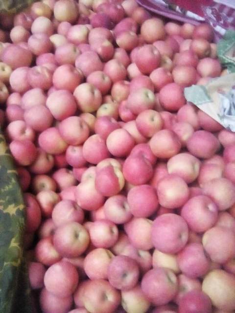 宝贝可以吃的放心苹果,自家的_双十一快特惠为