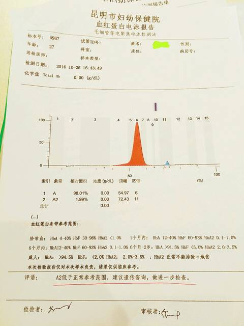 请教能看懂血红蛋白电泳报告的孕妈们_血红蛋