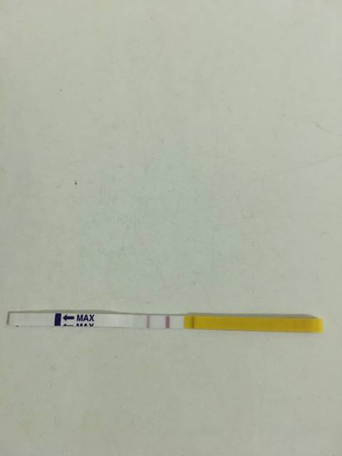 不排卵怎么回事呀?_10月28号来的月经 11月1