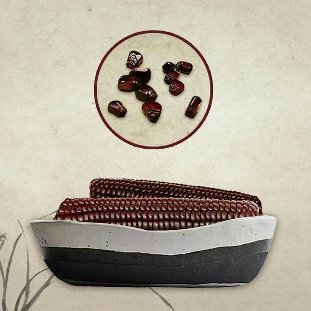 黑玉米的作用与功效,懂得来_据研究检测证明,