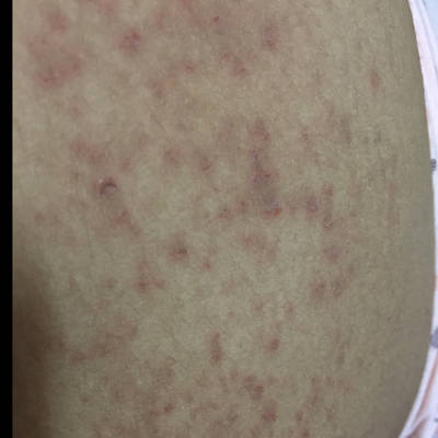 journal_insert_pic_627367692