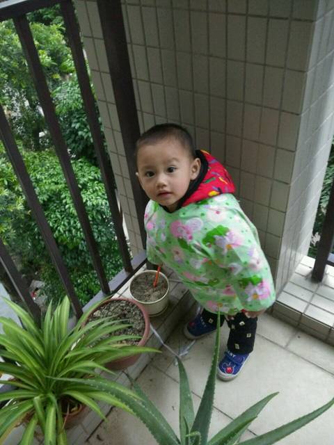 宝宝一岁多了 就是不长肉?怎么办?_想你长肉怎