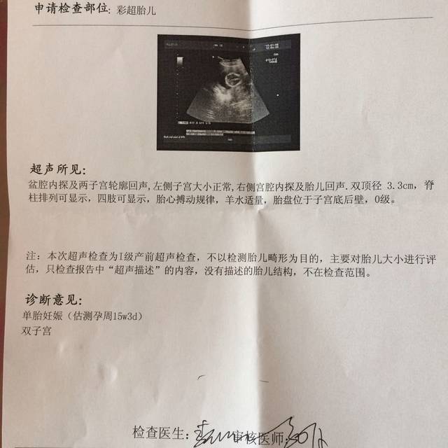 宝宝15周啦,双子宫妈妈彩超单,有会看的吗?