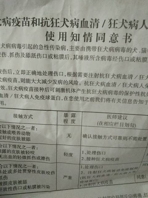 打过狂犬疫苗_我在怀孕三个月左右打过狂犬疫