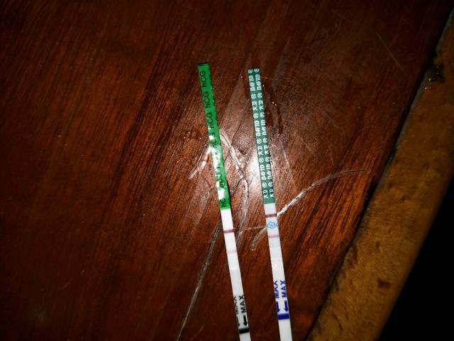 我鉴定鉴定这是不是怀孕_我上个月20排卵期 这