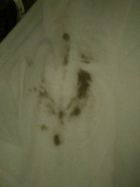 为什么例假提前一天来的都是黑血,急急。_本来