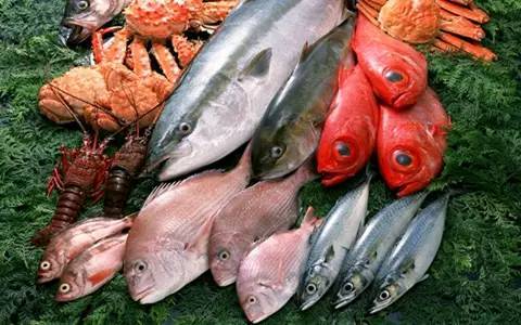 男性备孕吃什么好呢?多吃海产品有助受孕_天