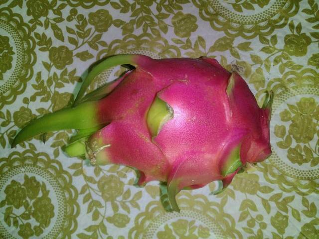 早餐_蛋挞,鸡蛋,猪肉汤,餐后火龙果