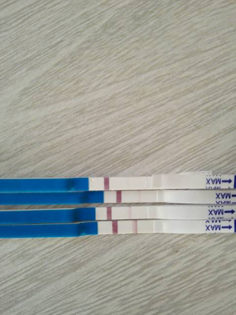 月经不准,怎么算孕周?_2月26日末次例假,貌似