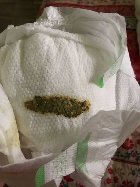 一个月的男宝 一天不拉粑粑_一个月男宝 纯奶