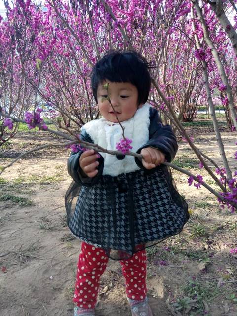 宝贝的生活记录_希望妞妞宝贝健康快乐的成长