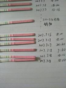 journal_insert_pic_794487554