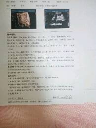 journal_insert_pic_807757714