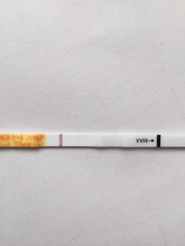 晚上醒了睡不着了,起来验的尿无意间看到了双