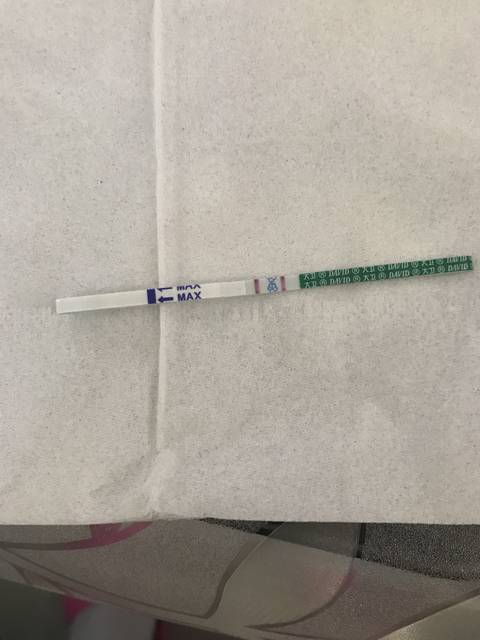 怀孕初期_刚怀孕的宝妈们你们也会肚子各种不