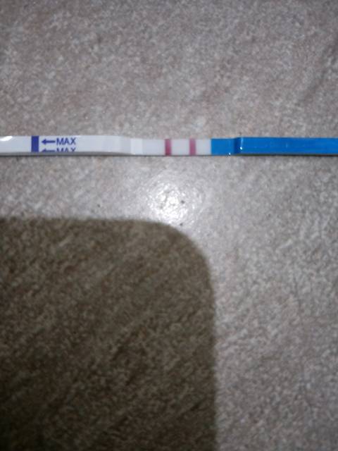 接好孕啦_哈哈,原来孕酮高的试纸是这样的,年