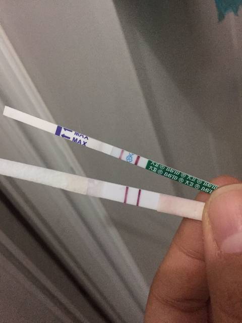 大卫早孕试纸太急人了