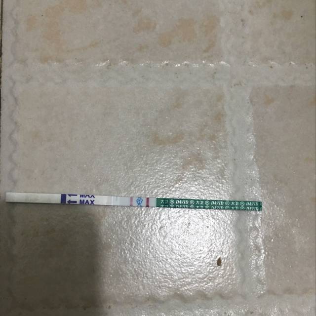 这是怀孕了吗?这是不是怀孕了?前几天有一点