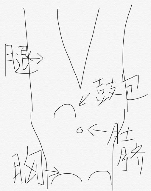 早晨一醒肚子鼓出一个包