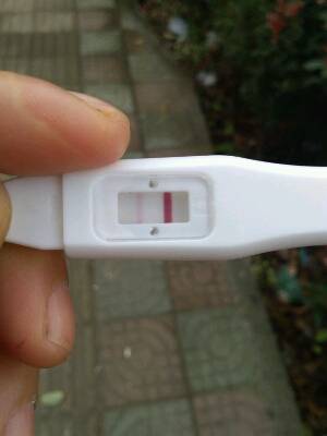 journal_insert_pic_969483737