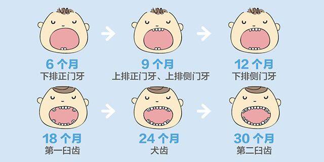 宝宝牙齿生长的顺序和时间