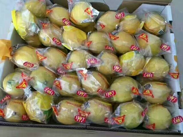 宝宝咳嗽不肯吃药怎么办,好方法给大家分享