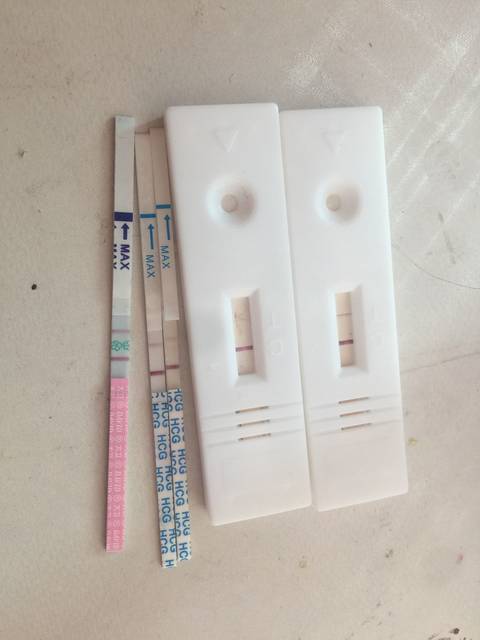 神帮忙看看 我这种是确定怀孕 不是假孕现象吗