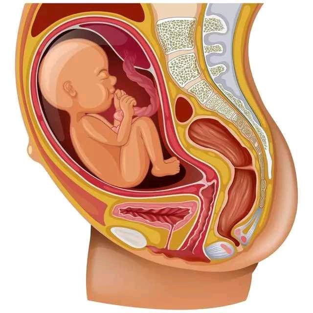 怀孕早期阴道出血,有褐色分泌物怎么办?