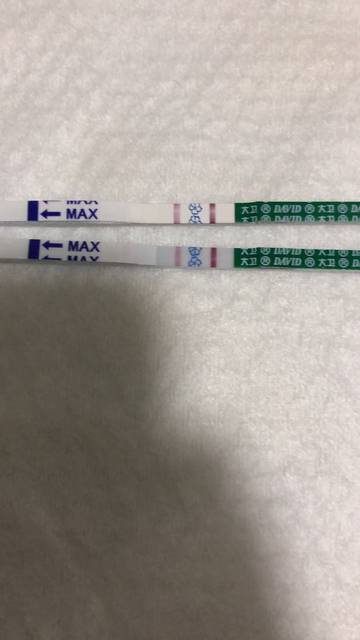 各位宝妈怀孕会不会肚子会不会像来大姨妈一样