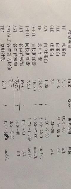 OD体育官方网站- OD体育APP下载- 世界杯指定投注平台苏超拉动百亿经济还有哪些体育赛事笑傲大众体育?