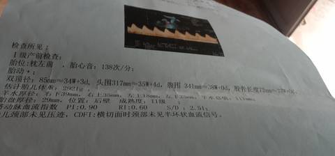 journal_insert_pic_1626885140