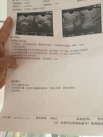 journal_insert_pic_1749062477
