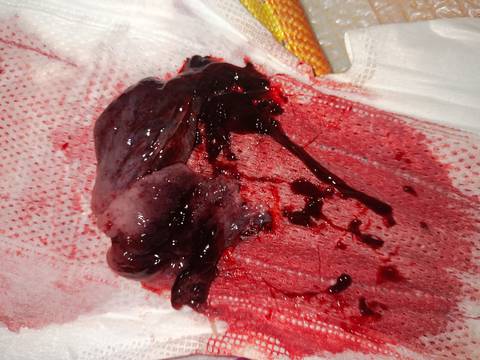 journal_insert_pic_4065229356