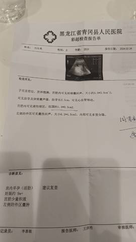 journal_insert_pic_4102023851