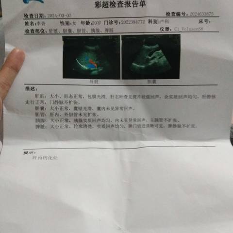 journal_insert_pic_4102613448