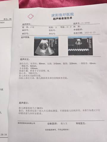 journal_insert_pic_4123955763