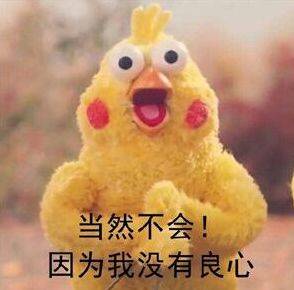 利用家长的焦虑来赚钱,你们的良心不会痛么?