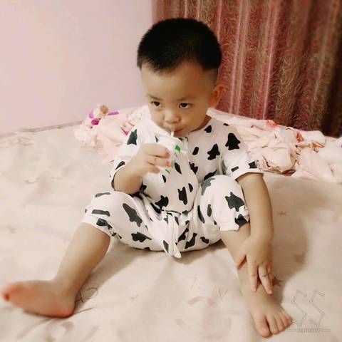 journal_insert_pic_539642081