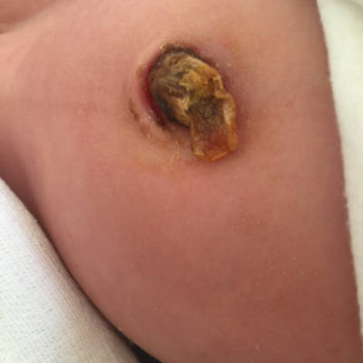 journal_insert_pic_544895602